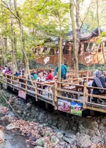 Sapanca and Masukiye Tour